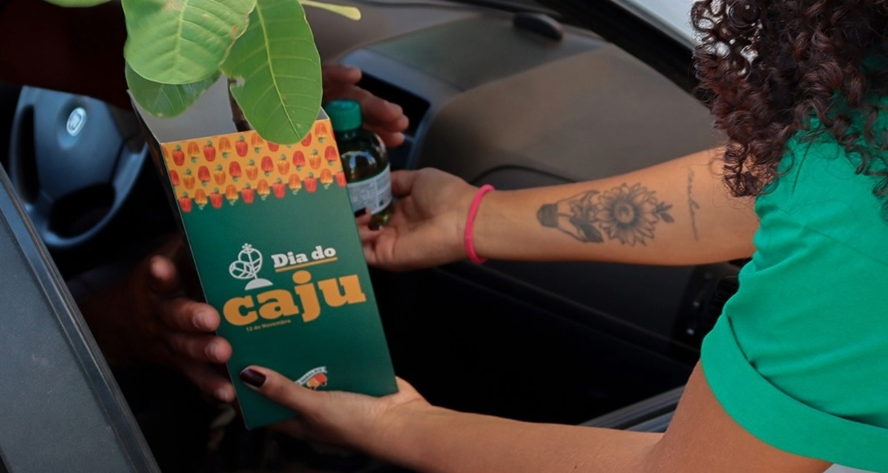 Dia do caju: São Geraldo distribui mudas em ação para celebrar a data