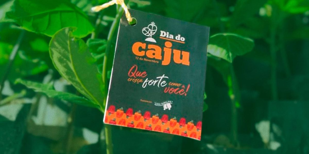 Blitz com distribuição de mudas de caju – Dia do Caju